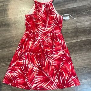 Dress Barn Women size 10 Dress